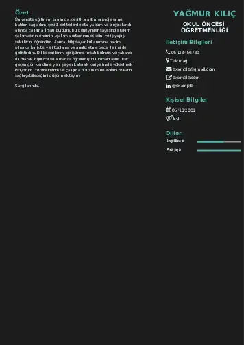 Okul Öncesi Öğretmeni Öğretmenliği Cv Örnekleri cv indir